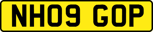 NH09GOP