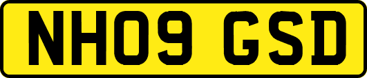 NH09GSD