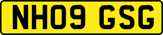 NH09GSG