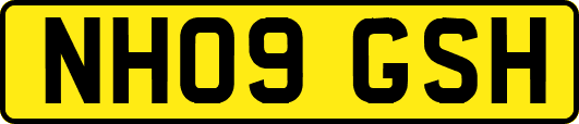 NH09GSH