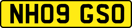 NH09GSO