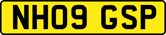 NH09GSP