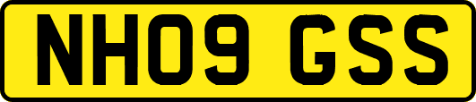 NH09GSS