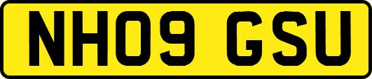 NH09GSU
