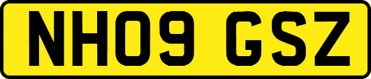 NH09GSZ