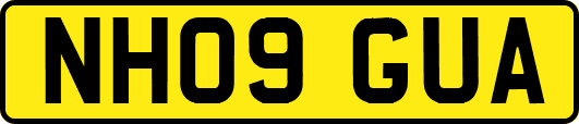 NH09GUA