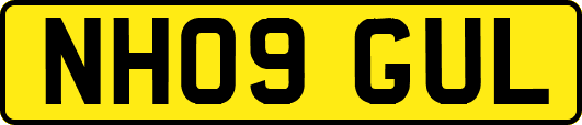 NH09GUL