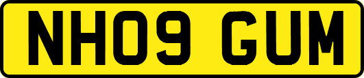 NH09GUM