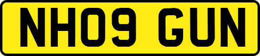 NH09GUN