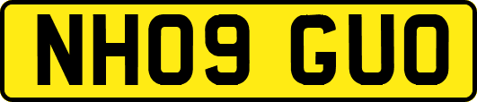 NH09GUO