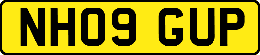 NH09GUP