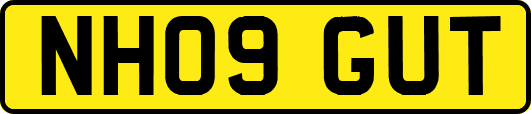 NH09GUT