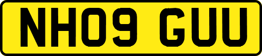 NH09GUU