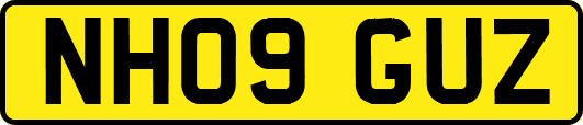 NH09GUZ