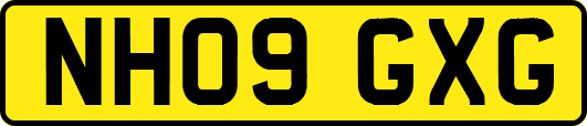 NH09GXG