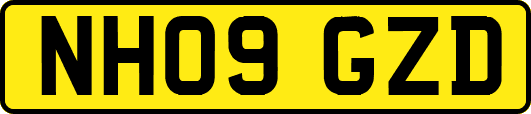 NH09GZD