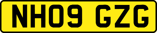 NH09GZG