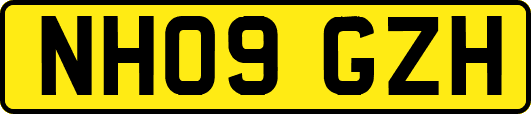 NH09GZH