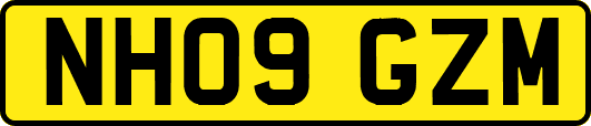 NH09GZM