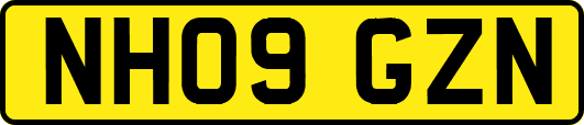 NH09GZN