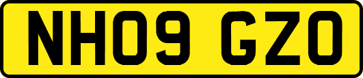 NH09GZO