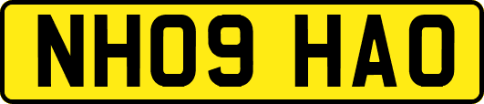 NH09HAO