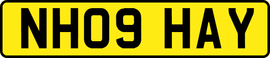 NH09HAY