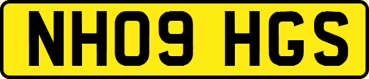 NH09HGS