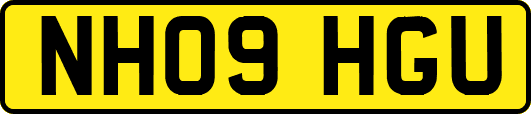 NH09HGU