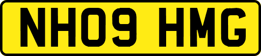 NH09HMG