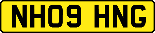NH09HNG