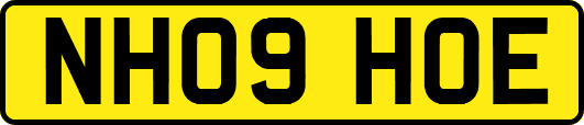 NH09HOE