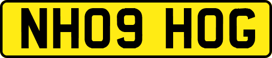 NH09HOG