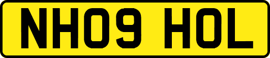 NH09HOL