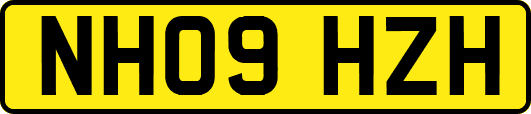 NH09HZH