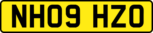 NH09HZO