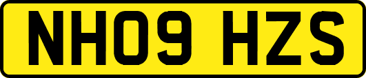 NH09HZS