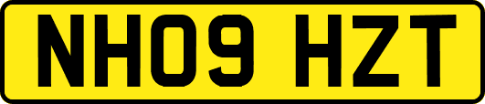 NH09HZT