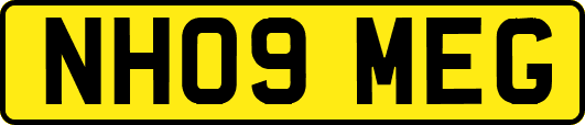 NH09MEG