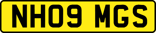NH09MGS