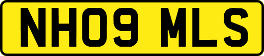 NH09MLS
