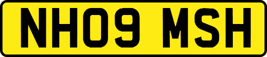 NH09MSH