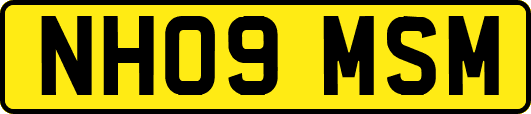 NH09MSM