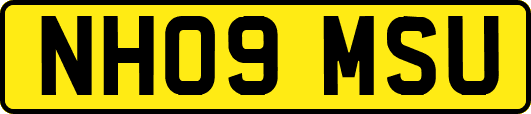 NH09MSU