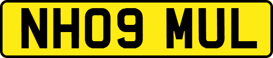 NH09MUL
