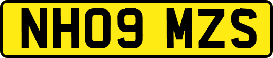 NH09MZS