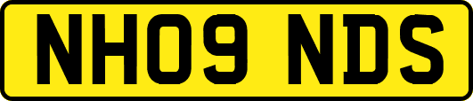 NH09NDS
