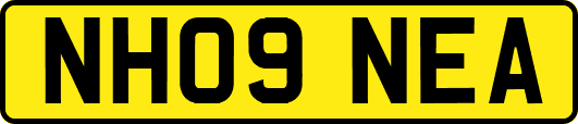 NH09NEA