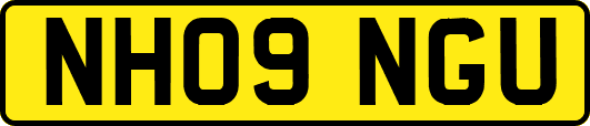 NH09NGU