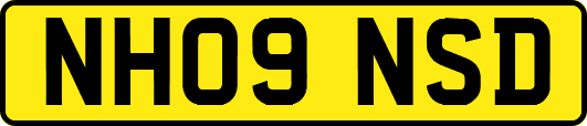 NH09NSD